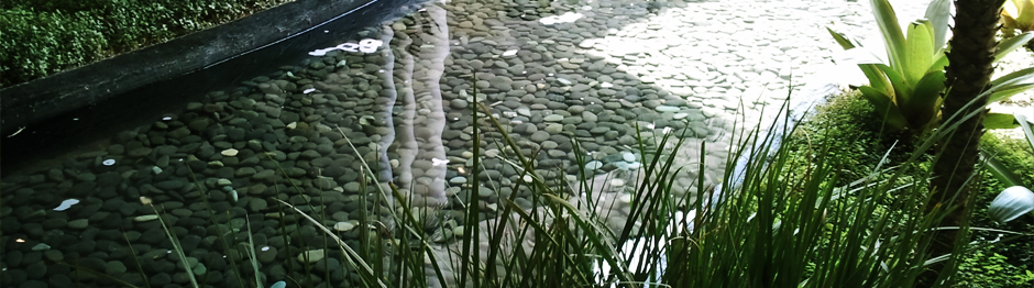 Featured Img 1